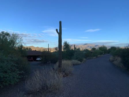 Nov 4 - Sunset Trail morning view. The mountains are magnificent with the rising sun highlighting them.